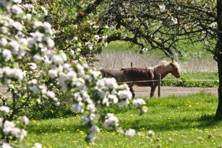 Denemarken