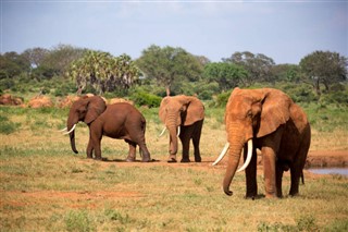 Djibouti