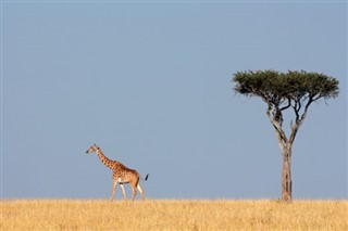 Djibouti