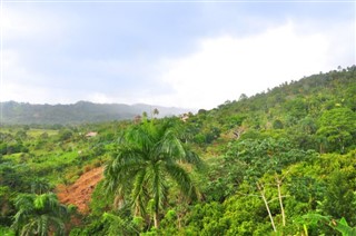 Доминиканска