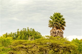 Equador