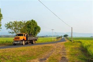 Salvadora