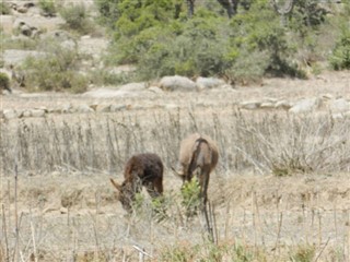 Eritreja vremenske zone