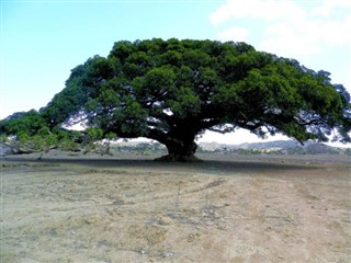 Eritrea