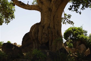 Eritrea