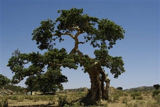 Eritrea