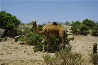 Eritrea povětrnostní zóny