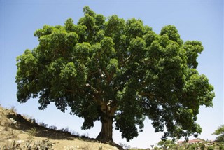 Eritreja vremenske zone