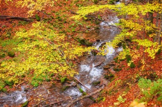 Estonija vremenske zone