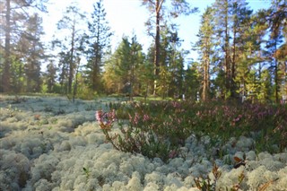 Estonia