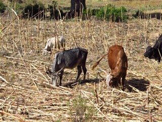 Ethiopia