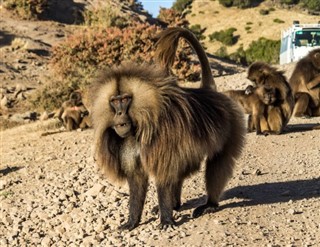 Ethiopia