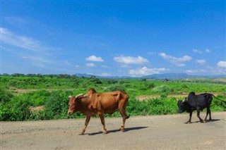 Ethiopia