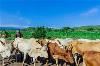 Ethiopia