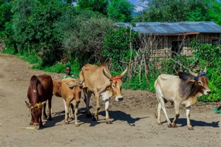 Ethiopia