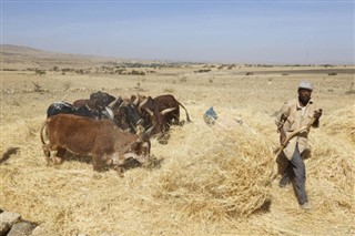 Ethiopia