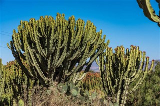 Ethiopia