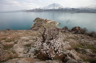 歐羅巴島