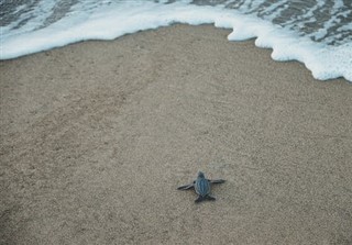 エウロパ島