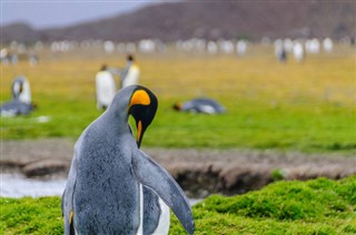 Falklandinsaaret aikavyöhykkeitä