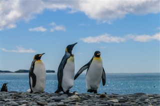 フォークランド諸島 気象ゾーン