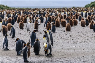 Falklandski otoci vremenske zone