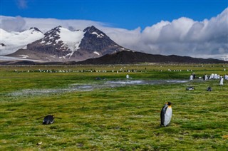 Falkland-szigetek