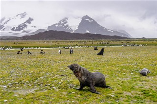 Falklando salos laiko juostos