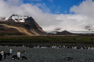 Falklandinsaaret