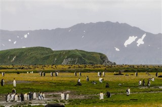 Falklandsöarna