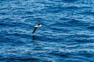 Falklando salos laiko juostos