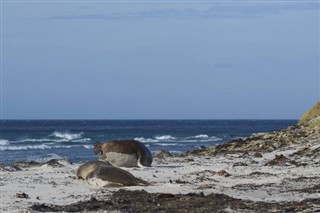 Islas Malvinas zonas horarias