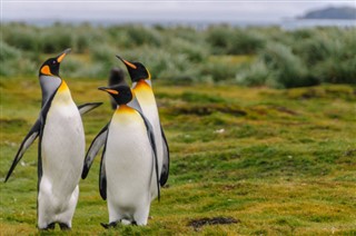 Falkland Islands time zones