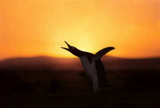 Falklandsøerne vejrzoner