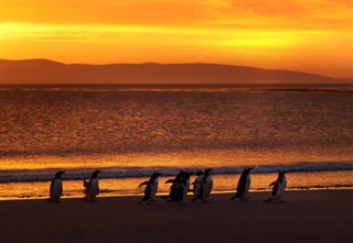 Falklandsøerne