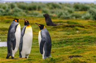 Falklandy povětrnostní zóny