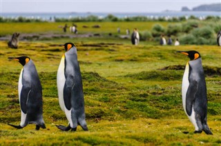 Falklandski otoci vremenske zone