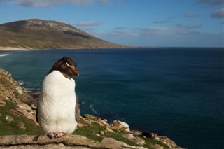 Falklandski otoci vremenske zone