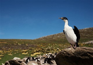 Falkland Islands time zones