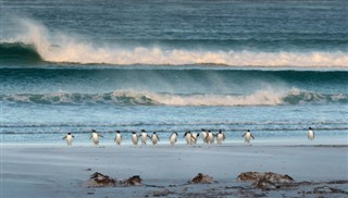 Falklandsöarna