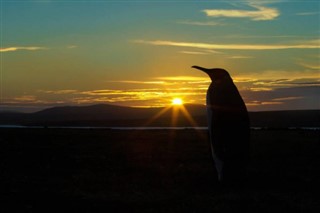 Falklandsøerne