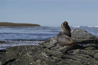 フォークランド諸島 気象ゾーン