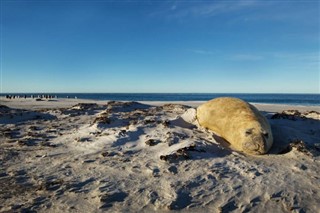 Falklandinsaaret aikavyöhykkeitä