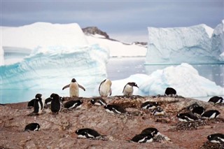 Falklandi saared ilmastikuvööndid