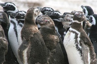 フォークランド諸島 気象ゾーン