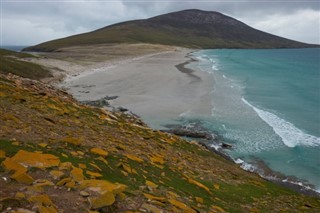 フォークランド諸島