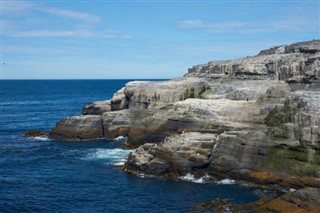 フォークランド諸島