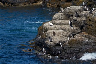 フォークランド諸島 気象ゾーン