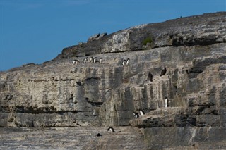Falklandski otoci vremenske zone