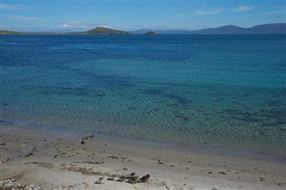 福克蘭群島